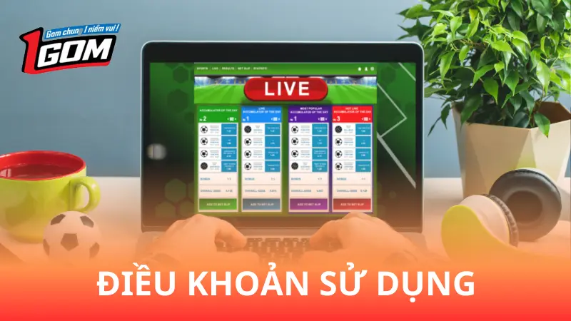 Điều khoản sử dụng cơ bản của 1Gom
